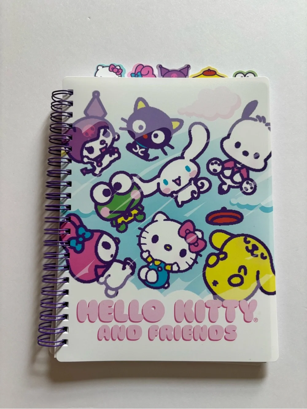 Hello Kitty Pastel Blue & Pink Character Spiral Notebook